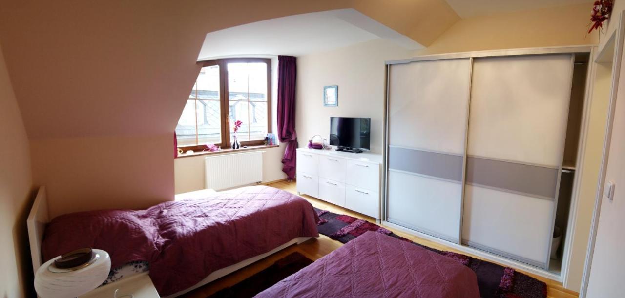 Karlovy Vary, Dum U Mari Magdaleny - 100 M Od Vridla Apartment Karlovy Vary